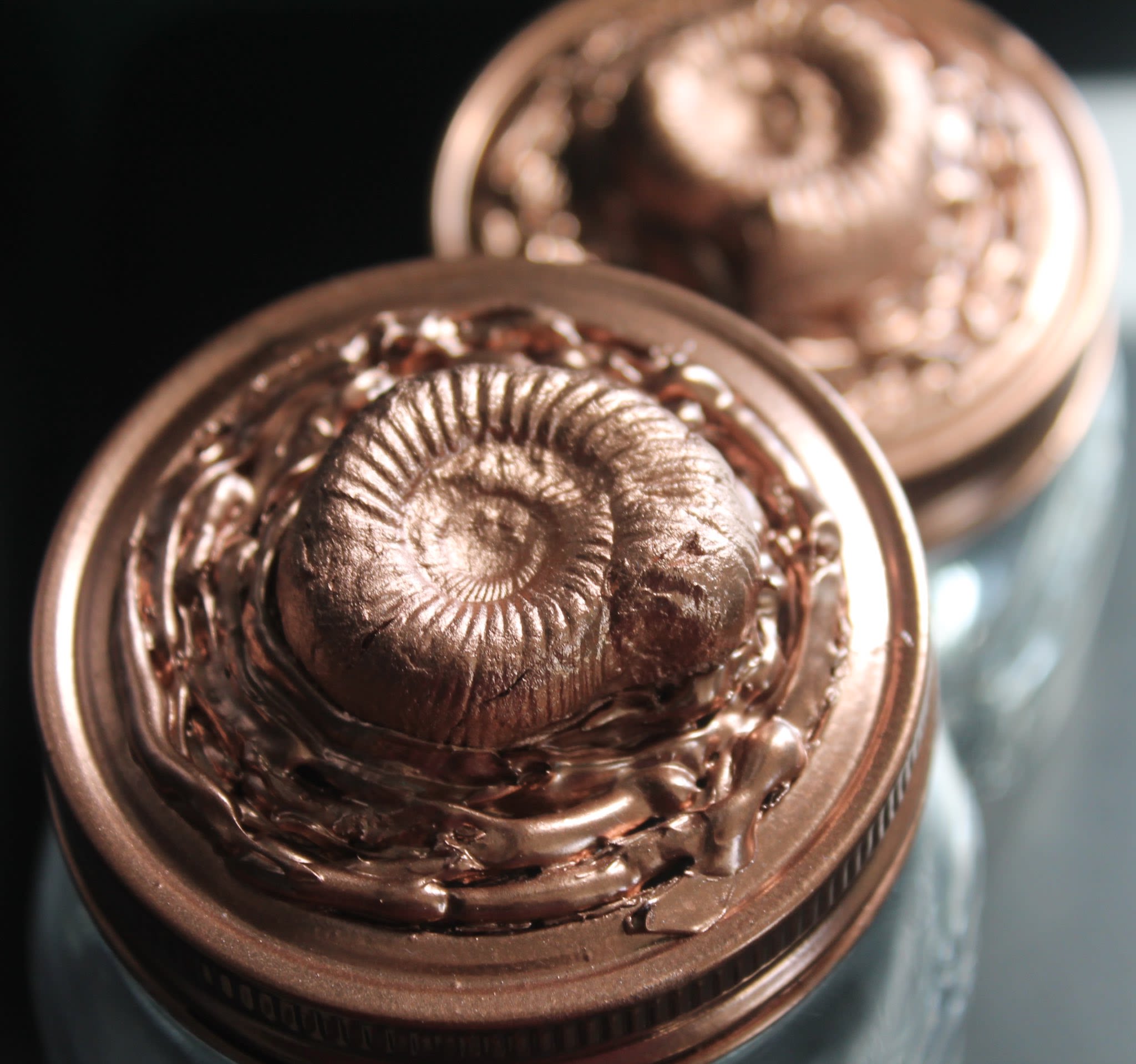 Gold-coloured chocolate ammonite shell