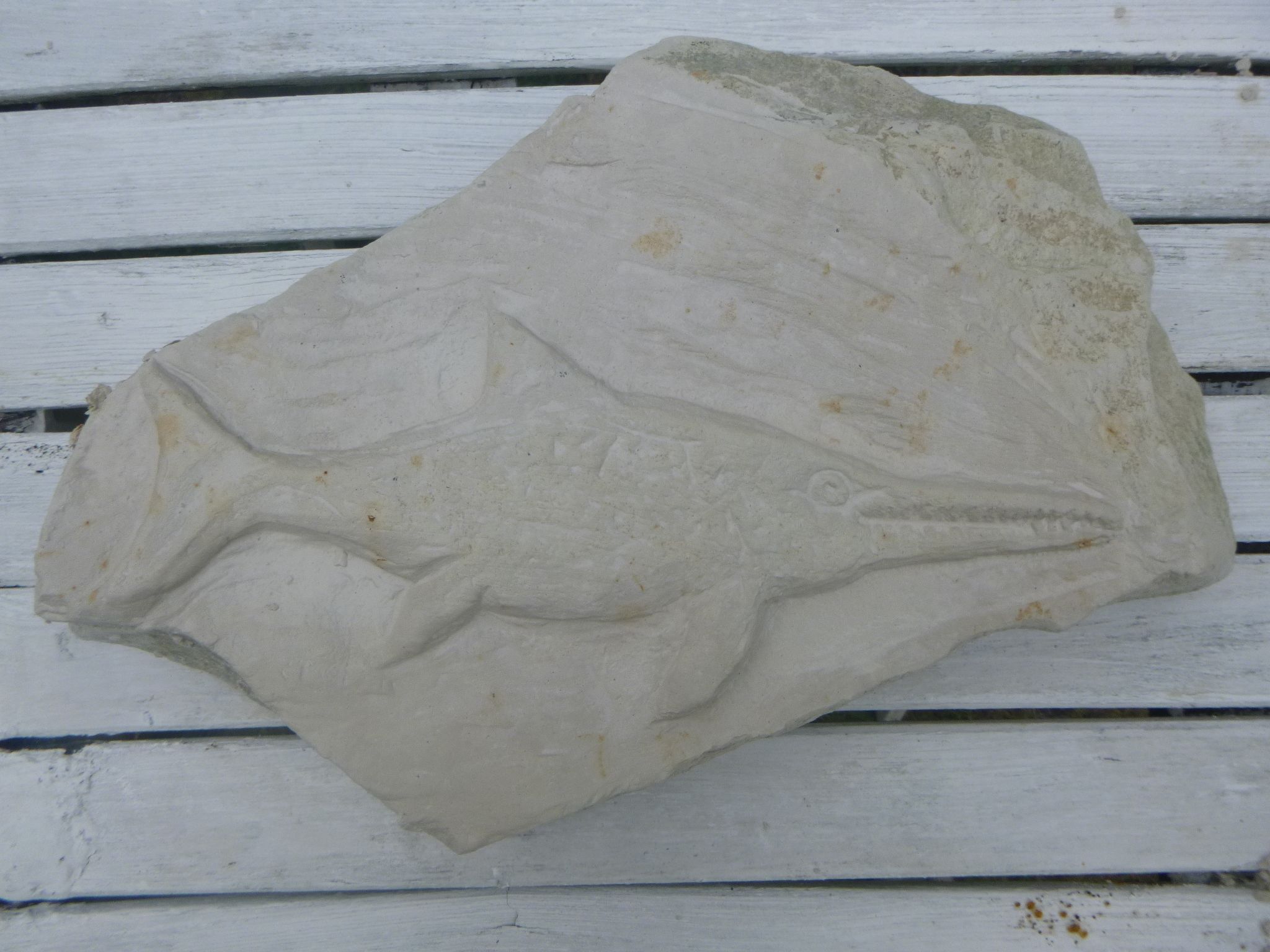 An ichthyosaur created using plaster