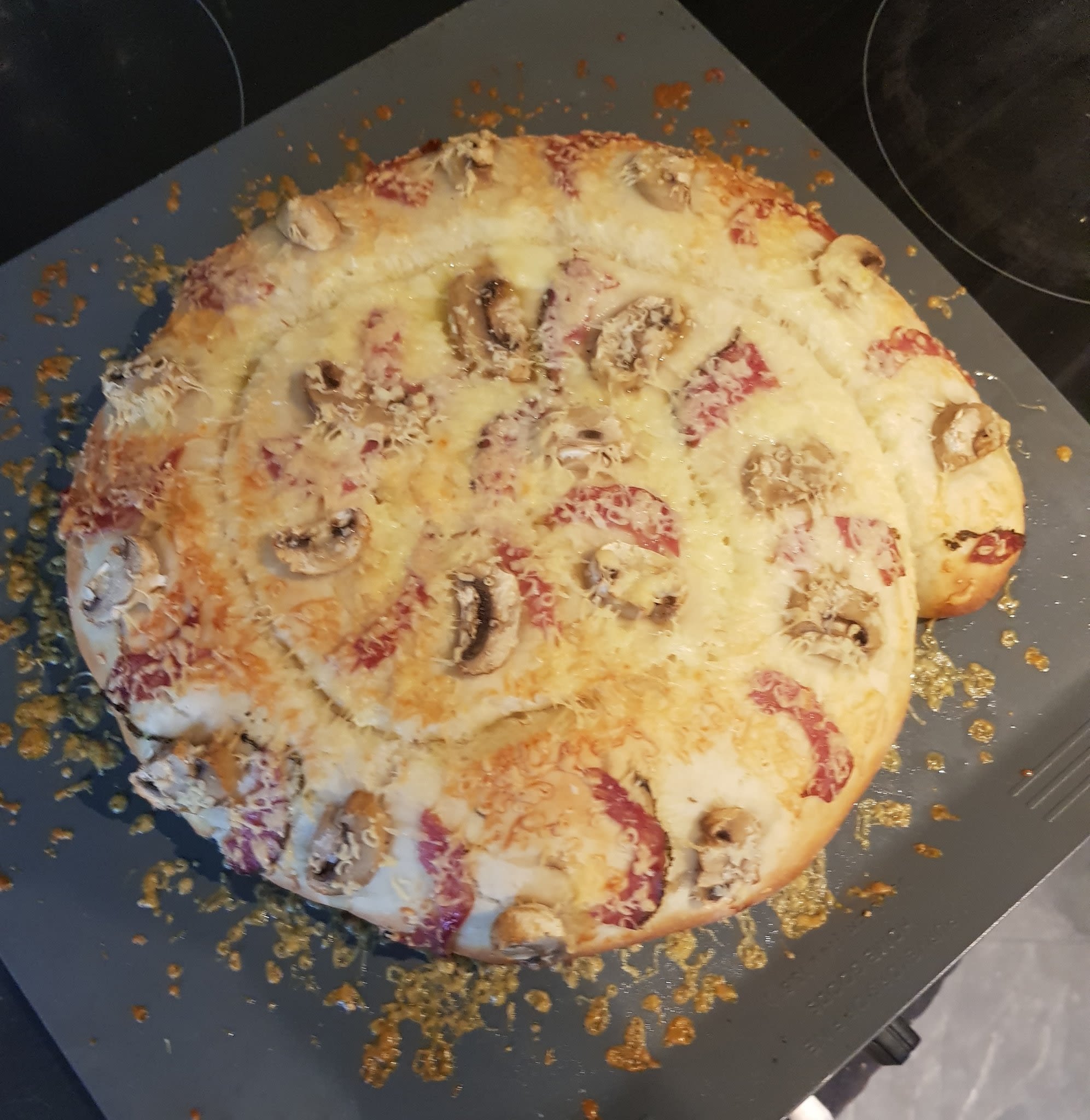 Ammonite fossil-shaped pizza