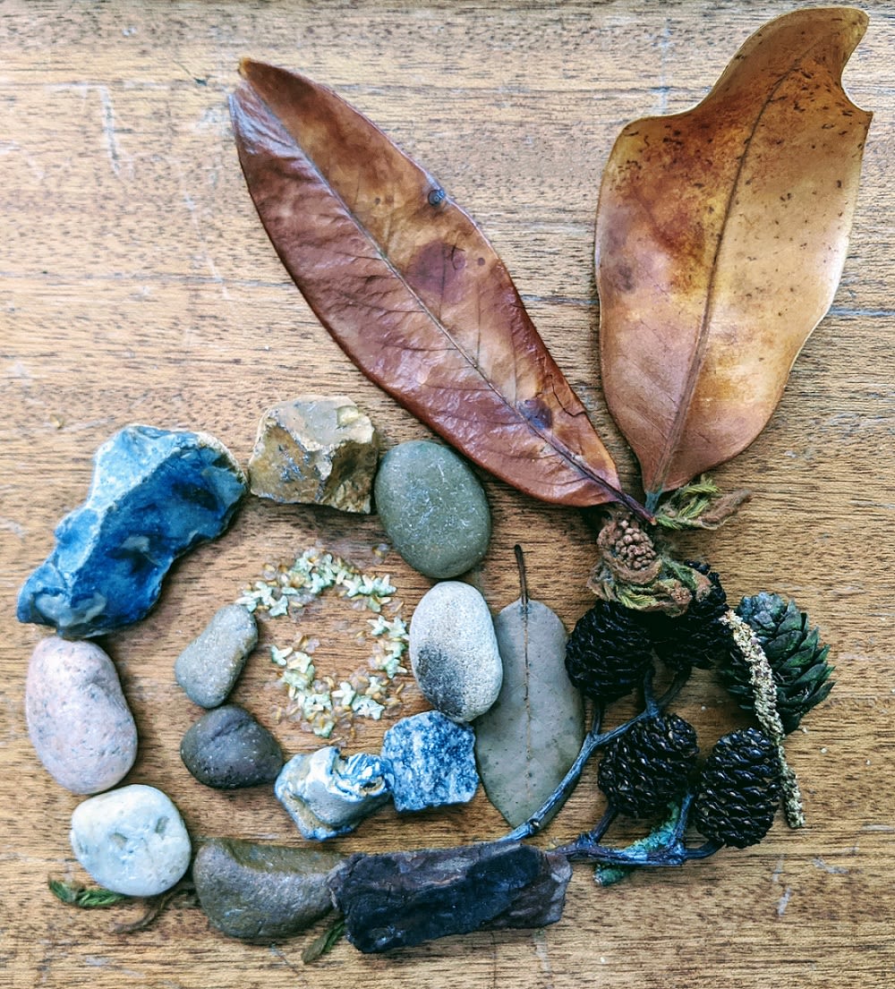Duria Antiguior reconstruciton of an ammonite created using natural objects, including rocks, leaves and flowers