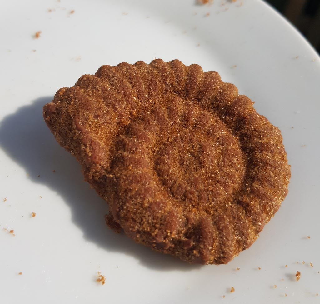 Ammonite shell cookie