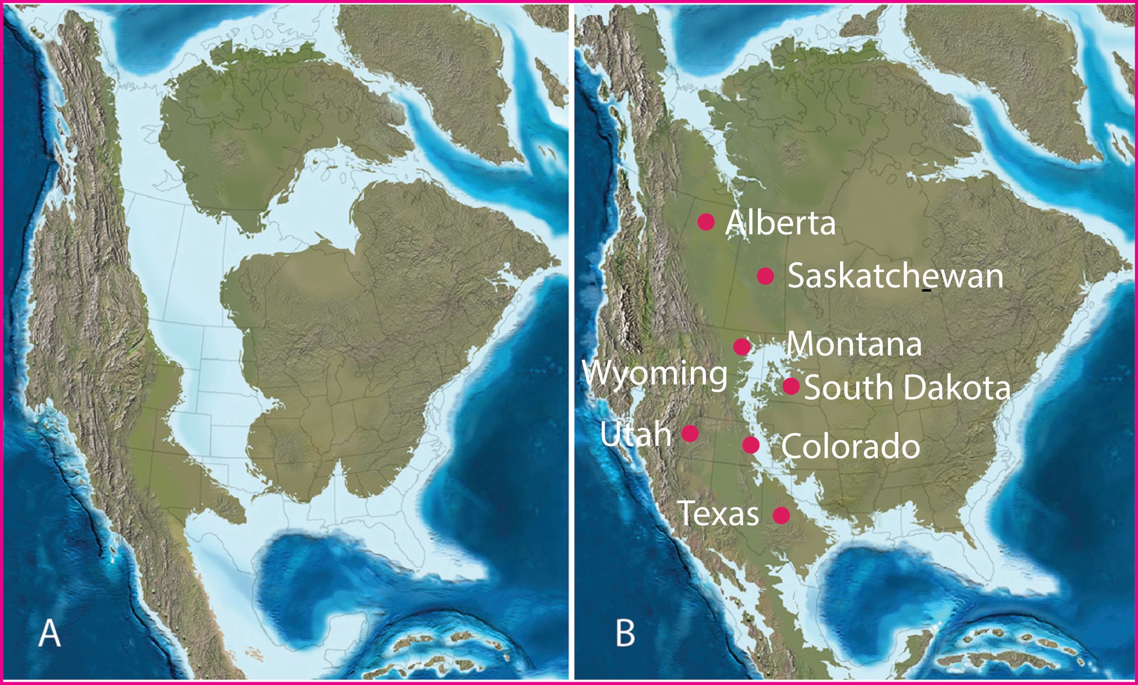 Paleogeographic maps of North America during the late Creataceous. The map on the left is from the late Campanian (c. 75 Million Years Ago) and shows a large seaway across much of the mid-west of North America. The second image shows North America in the late Maastrichtian (c. 66 Million Years Ago), when T. rex lived. The seaway has greatly reduced to just a narrow portion of the mid-west of the United States.